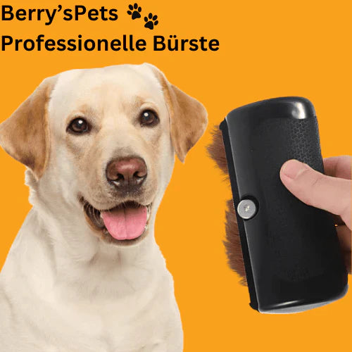 Begrenzte Zeit 50% Rabatt 💥 Haustiere 🐕 Professionelle Bürsten