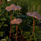 Antiker Gartenstecker aus Eisen in Form eines Lotusblatts