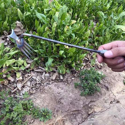 Handwerkzeuge zum Unkrautjäten im Garten