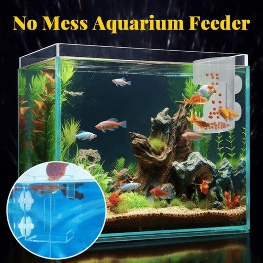 🐟Aquarien-Futterring und Schale