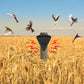 ⏳Begrenzte Zeit 50% Rabatt💥Wasserdichter Solar-Vogelabwehr für den Außenbereich