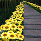 🌞🌻 Wasserdichte Solar-Sonnenblumenleuchten 🌱✨ für Beet & Garten – automatisch leuchtend, langlebig, jetzt im Angebot