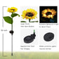 🌞🌻 Wasserdichte Solar-Sonnenblumenleuchten 🌱✨ für Beet & Garten – automatisch leuchtend, langlebig, jetzt im Angebot