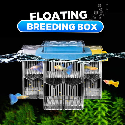 🐟💧 Nur für kurze Zeit zum halben Preis! 4-lagiger, abnehmbarer Acryl-Fischbrutkasten 🛡️ — Mit Schutzfunktion für sichere Aufzucht Ihrer Jungfische 🐠✨