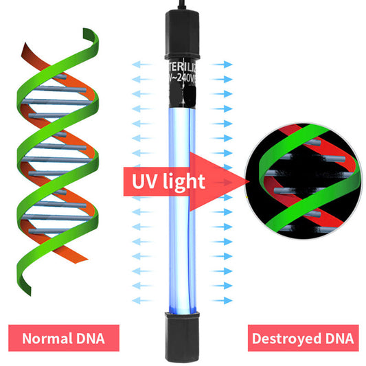 Zeitgesteuerter UV-Sterilisator zur Desinfektion von Aquarienwasser