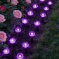 ☀️✨ Solar-LED-Deko-Set – blaue Lichterkette & Bodenspikes für Garten, Weg & Beet, wasserfest & automatisch🌿