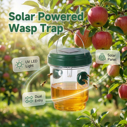 🔥 SOMMER DEAL: -50% 🐝 Solarbetriebene Wespenfalle 🌙 automatisch wirksam bei Tag & Nacht ☀️✨