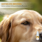🔥🎁 2+1 GRATIS!!🥳 💞 50K+ VERKAUFT! 🐱🐶 Sanfte Augentropfen mit Pflanzenextrakten für Hunde & Katzen | 10 ml 💥 Jetzt 50% Rabatt✨