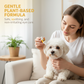 🔥🎁 2+1 GRATIS!!🥳 💞 50K+ VERKAUFT! 🐱🐶 Sanfte Augentropfen mit Pflanzenextrakten für Hunde & Katzen | 10 ml 💥 Jetzt 50% Rabatt✨