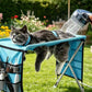 🧴 50 % Rabatt – Abnehmbare Pflegehängematte für Hunde & Katzen – kratzfest, bissfest & vielseitig für kleinere Rassen 🐾